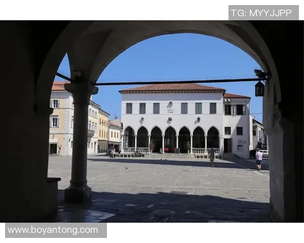 2006年斯诺文尼亚与中国足球友谊赛回顾与分析 2006年斯诺文尼亚与中国足球友谊赛回顾与分析