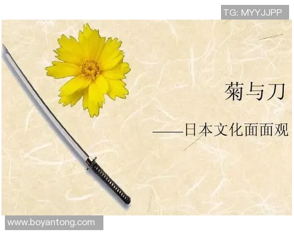 探讨与中之间的文化差异与价值观碰撞的深层次意义