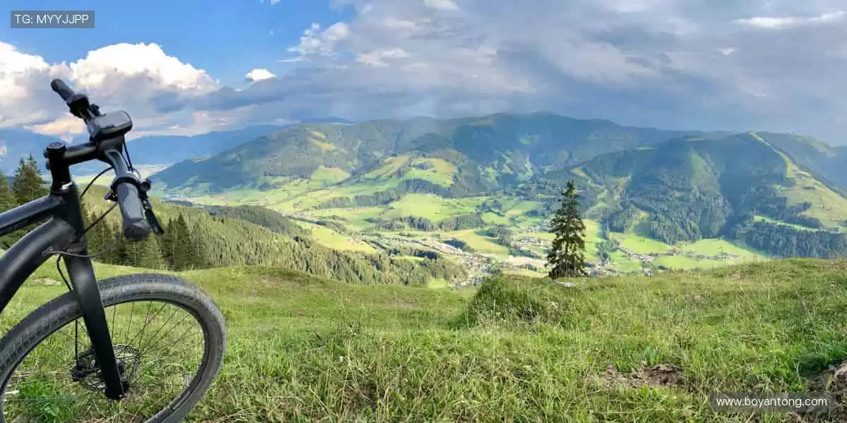 📺高清直播，一键开启你的专属观赛盛宴！